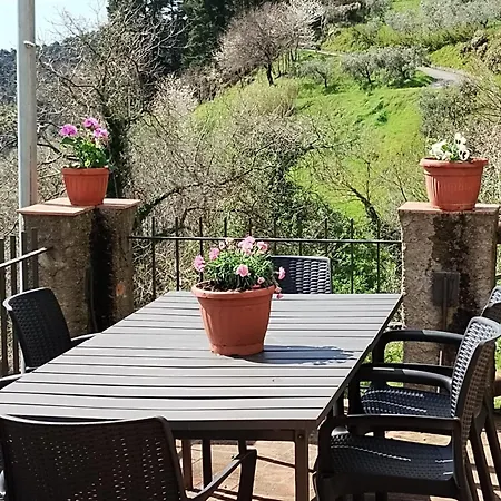 Casa Serena * Petrognano (Lucca)