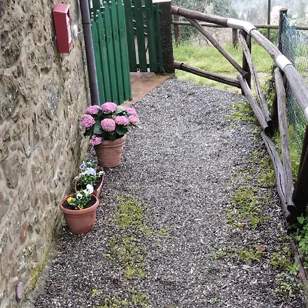Feriehus Casa Serena Petrognano (Lucca)